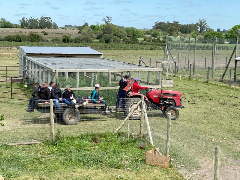 Tractor en la huerta