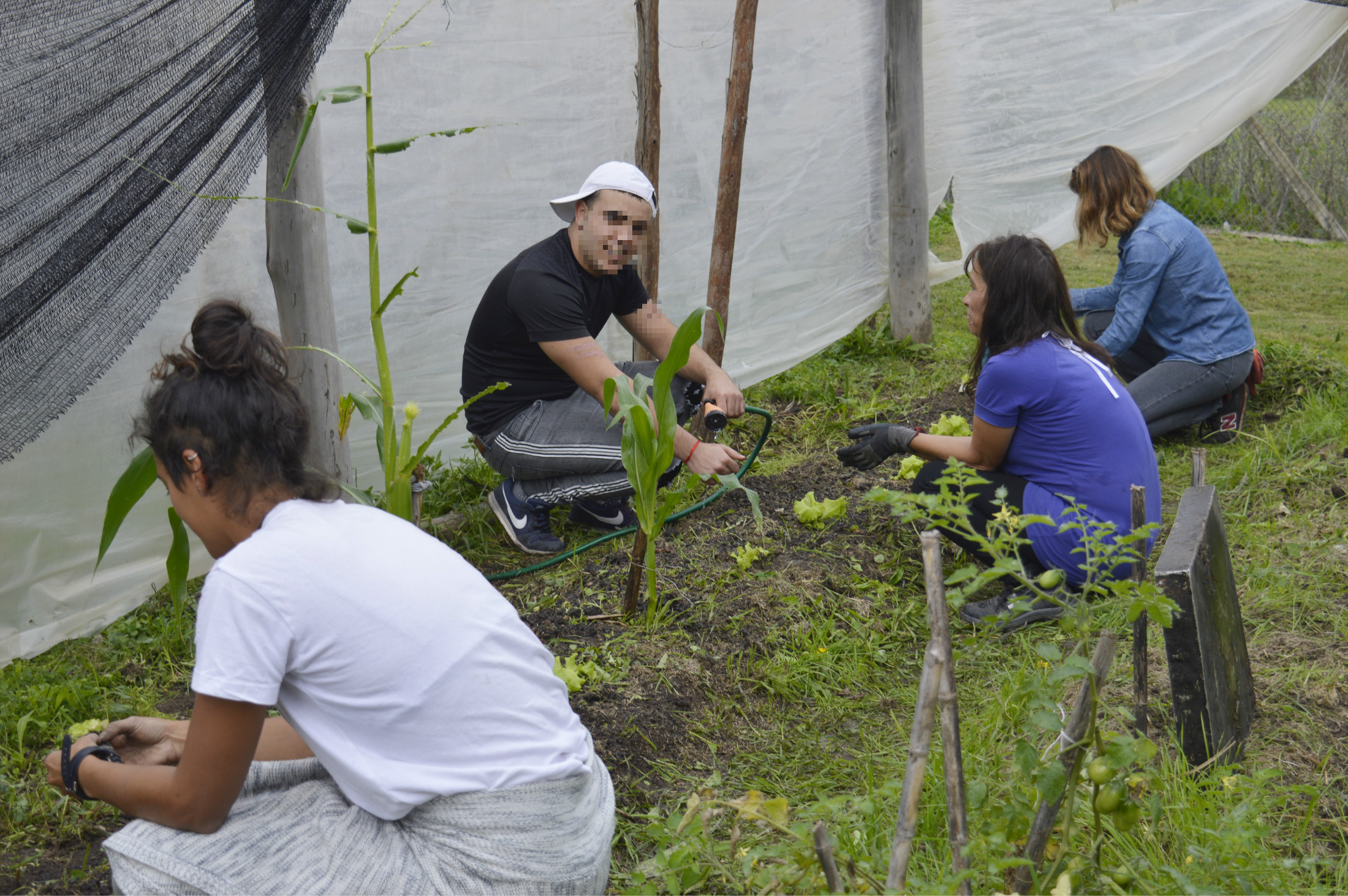 Sembrando en la huerta